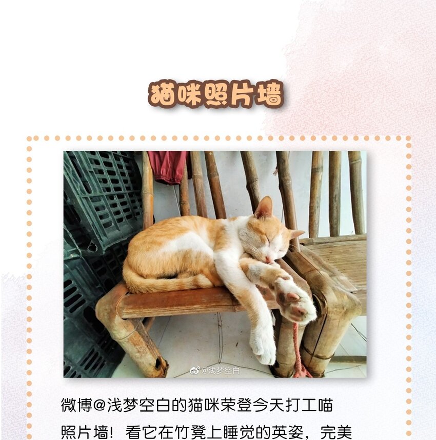 《喵铃铛》07 减肥是不可能减肥的！ 第25页