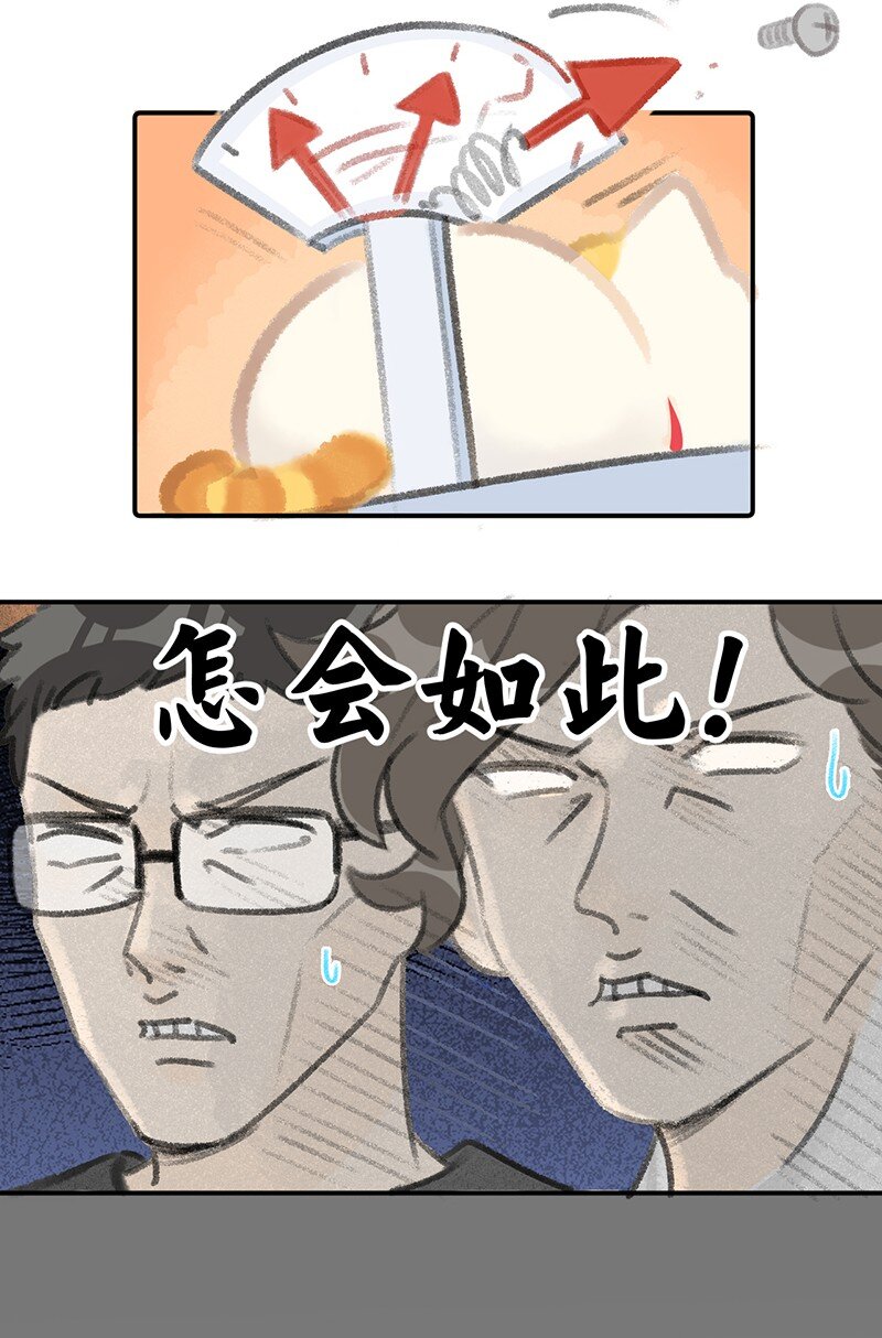 《喵铃铛》07 减肥是不可能减肥的！ 第5页