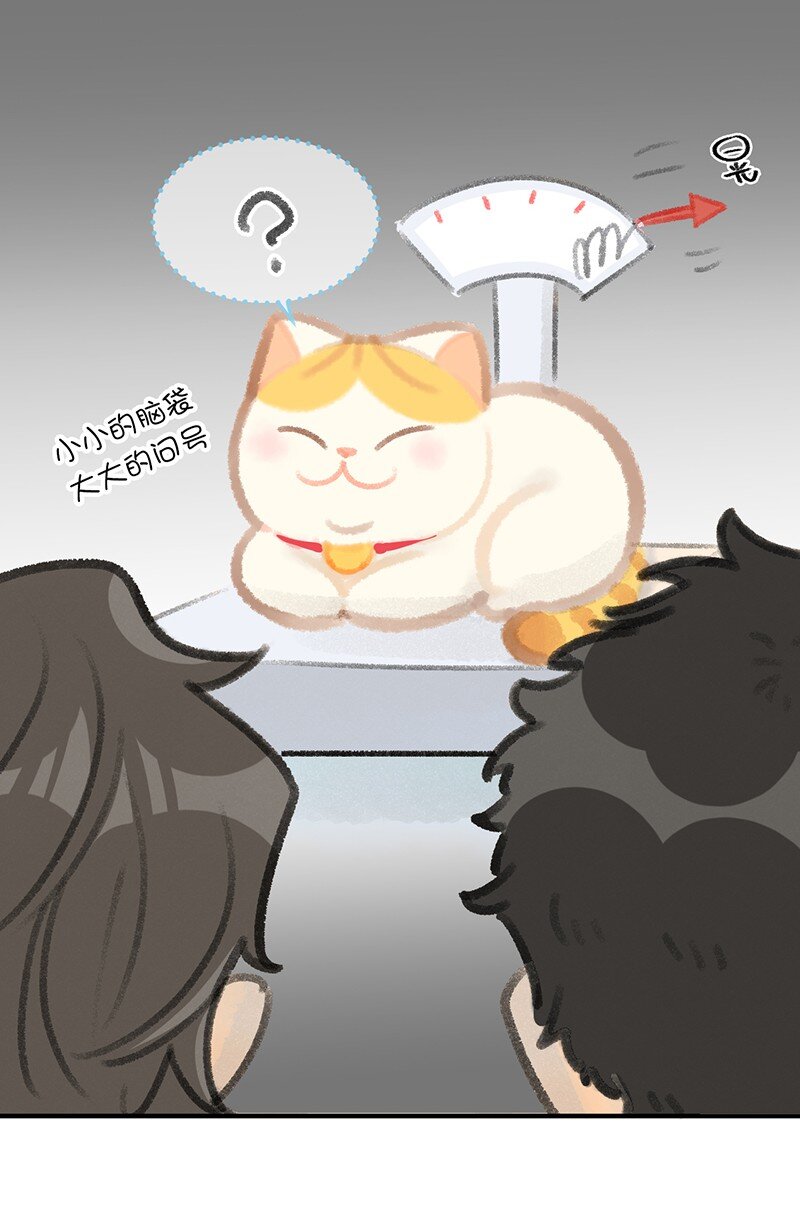 《喵铃铛》07 减肥是不可能减肥的！ 第6页