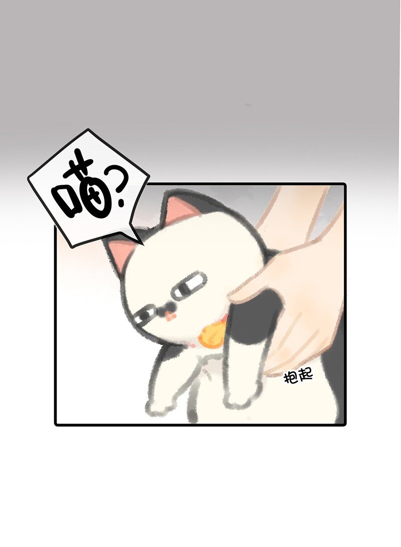 《喵铃铛》06 救……救驾！ 第18页