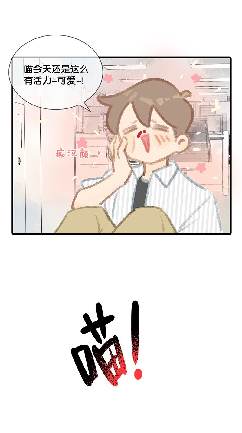 《喵铃铛》06 救……救驾！ 第9页