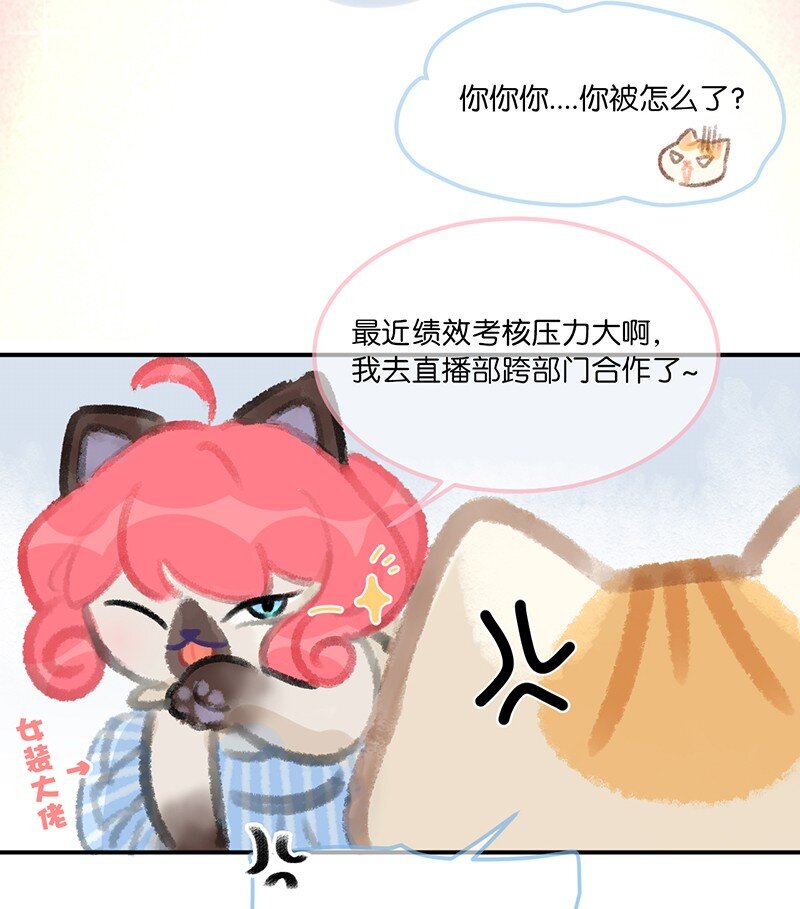 《喵铃铛》04 楼上的女装大佬？！ 第7页