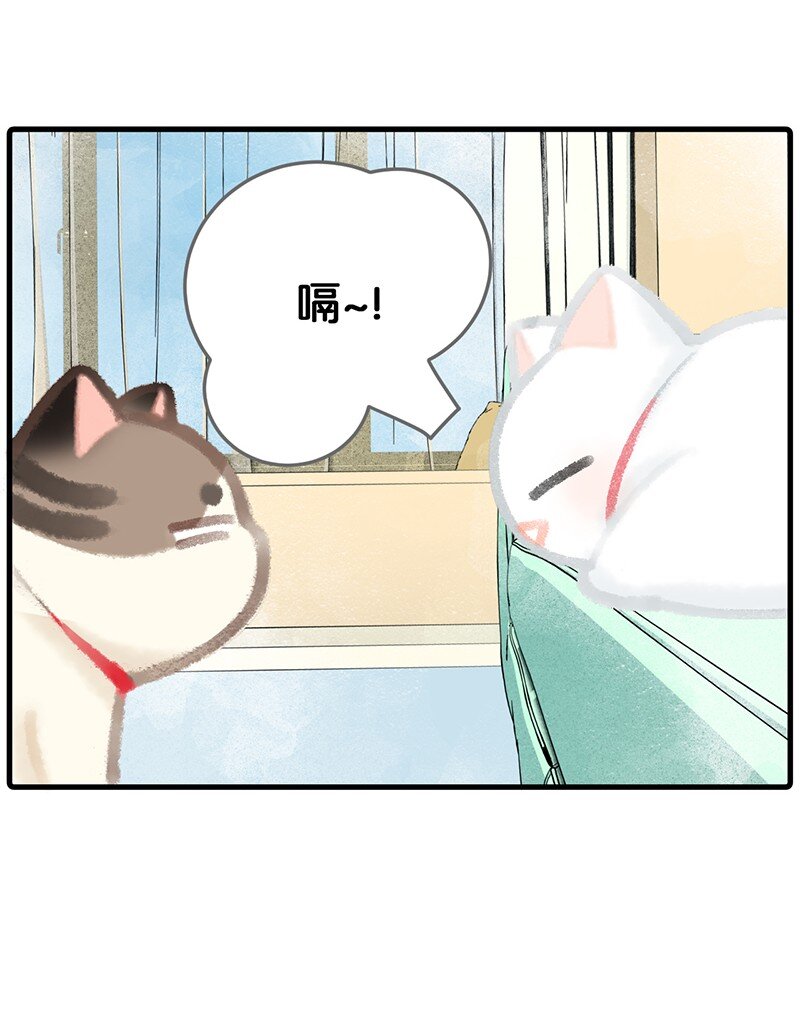 《喵铃铛》08 死宅的理由！ 第6页