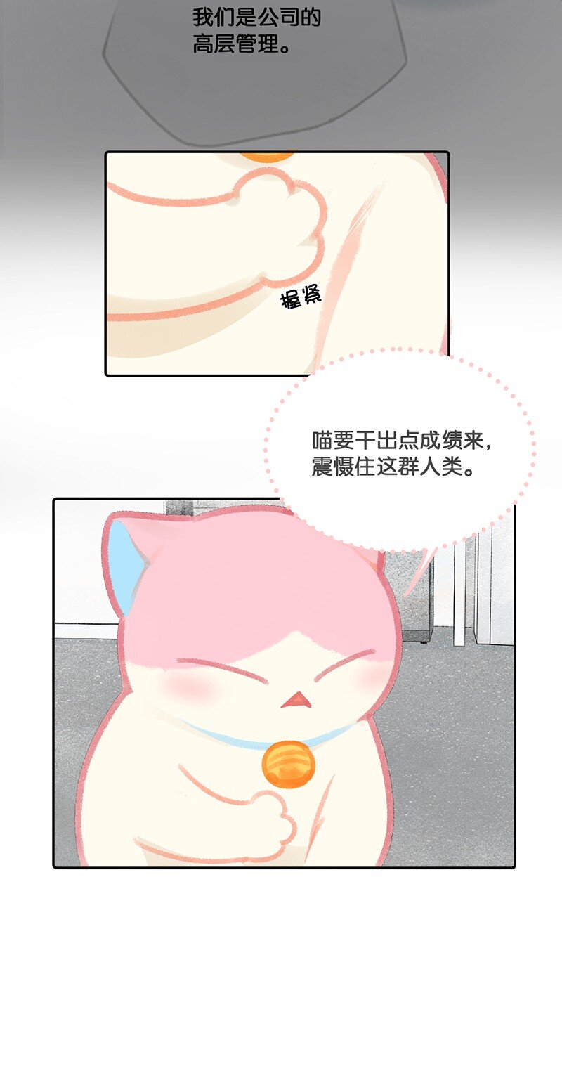 《喵铃铛》11 新员工入职第一天 第18页