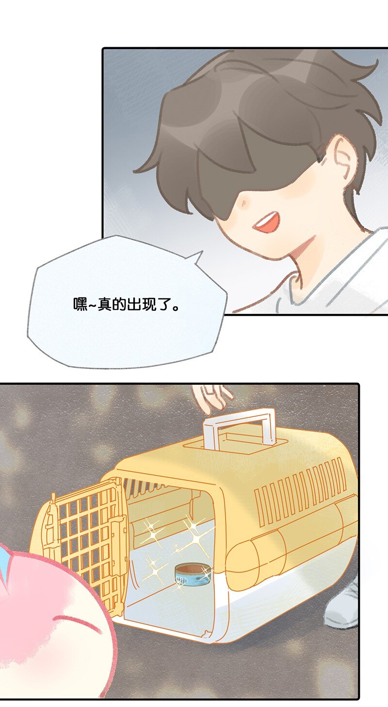 《喵铃铛》09 新“高管”入职……？ 第10页