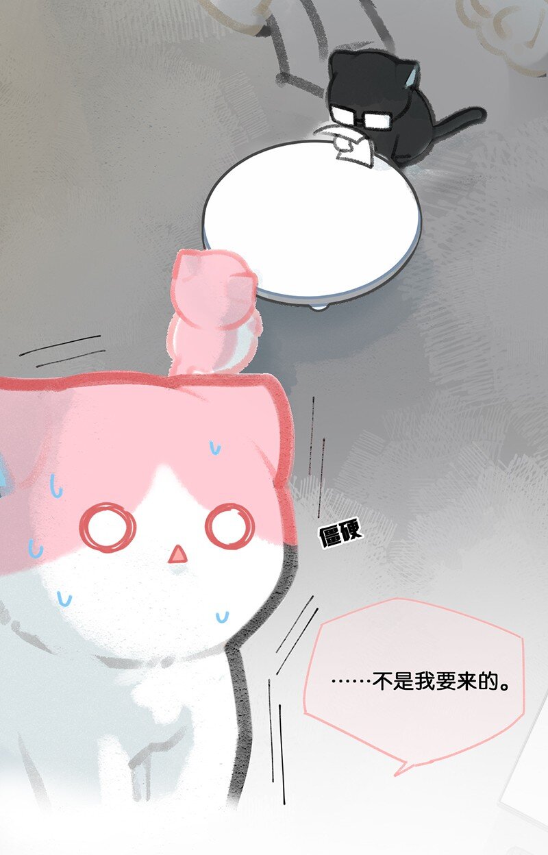《喵铃铛》09 新“高管”入职……？ 第5页