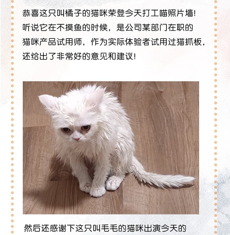 《喵铃铛》08 死宅的理由！ 第27页