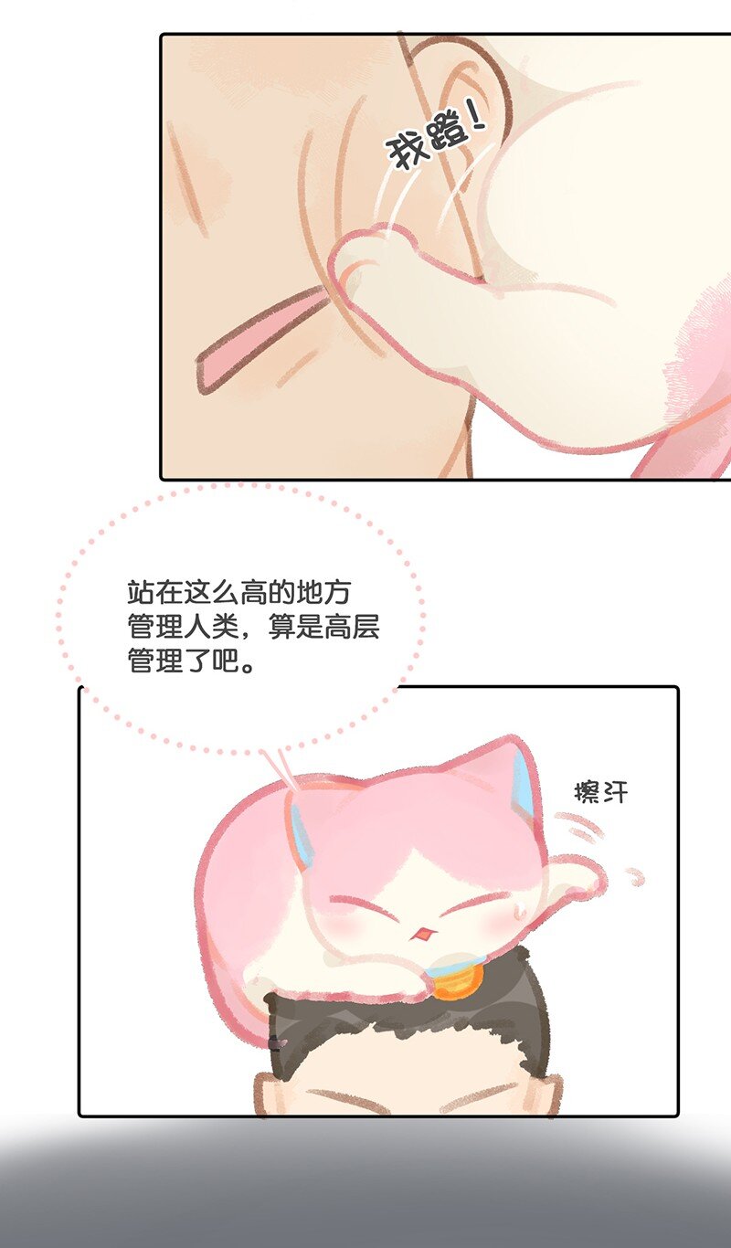 《喵铃铛》11 新员工入职第一天 第20页