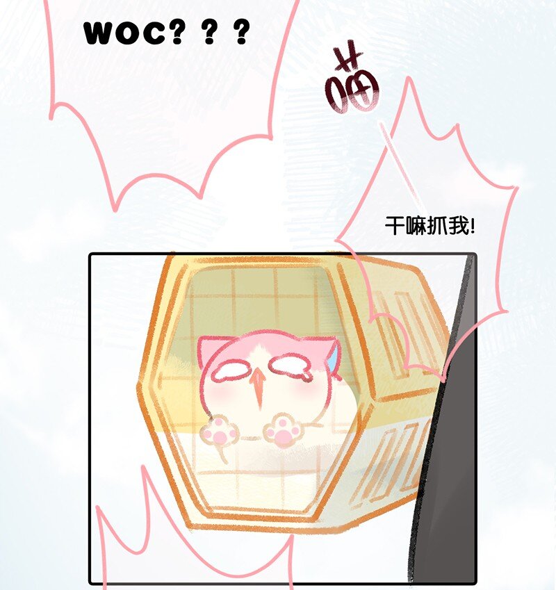 《喵铃铛》09 新“高管”入职……？ 第13页