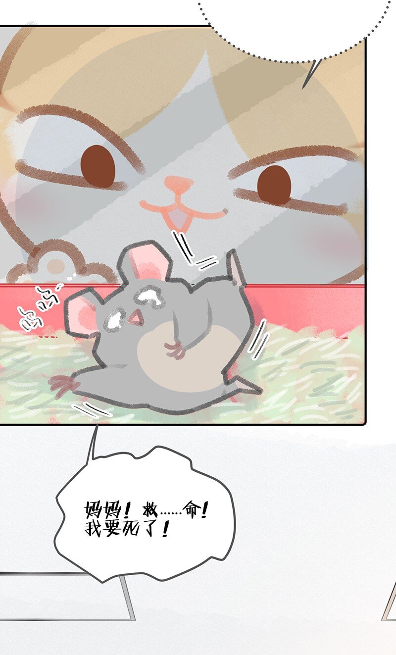 《喵铃铛》14 肖申克的救赎？ 第13页