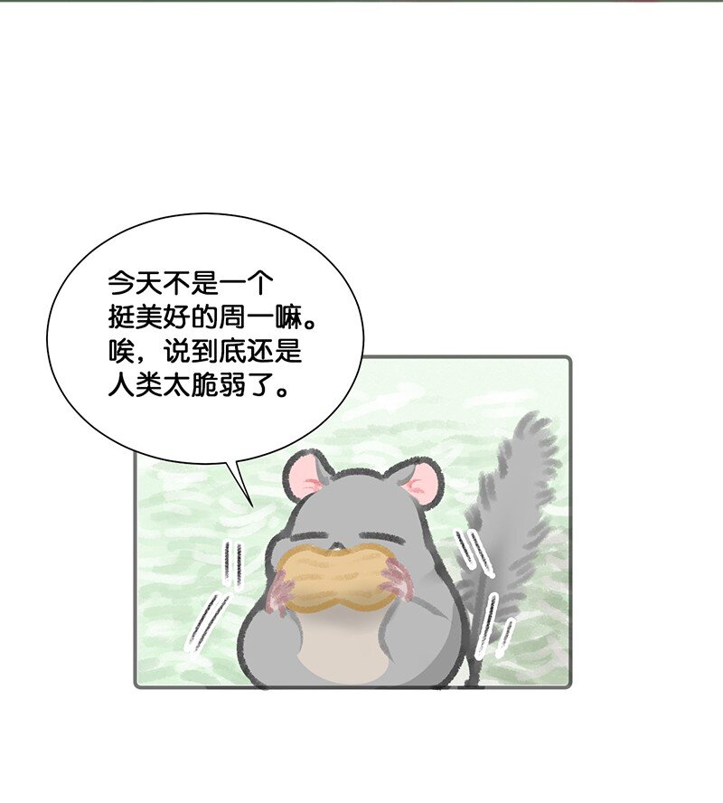 《喵铃铛》14 肖申克的救赎？ 第7页