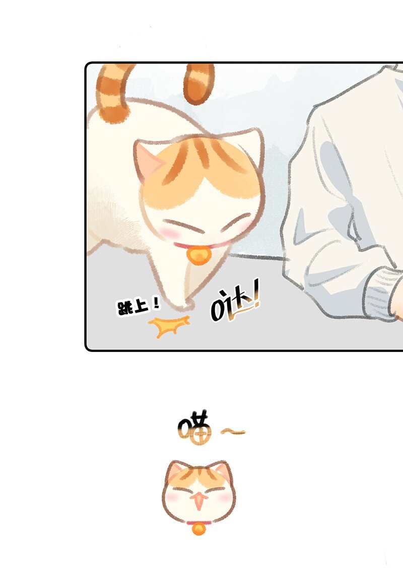 《喵铃铛》12 万能的喵铃铛？ 第12页