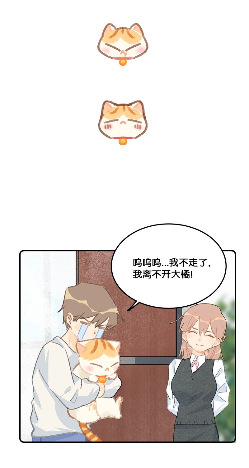 《喵铃铛》12 万能的喵铃铛？ 第13页
