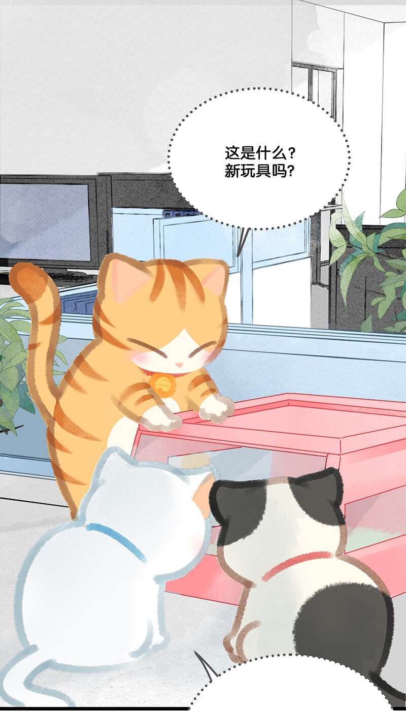 《喵铃铛》14 肖申克的救赎？ 第11页