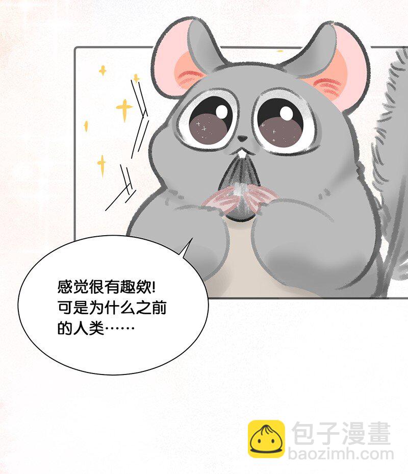 《喵铃铛》14 肖申克的救赎？ 第5页