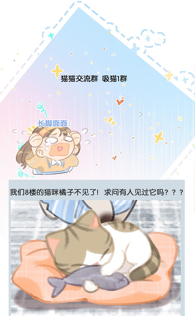《喵铃铛》17 大橘和它双双失踪？！原因竟是…… 第4页