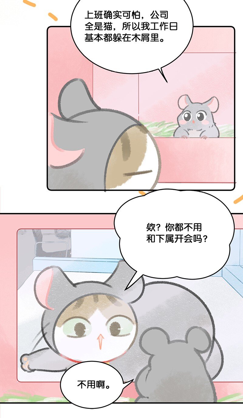 《喵铃铛》19 它好特别！我好喜欢！ 第10页