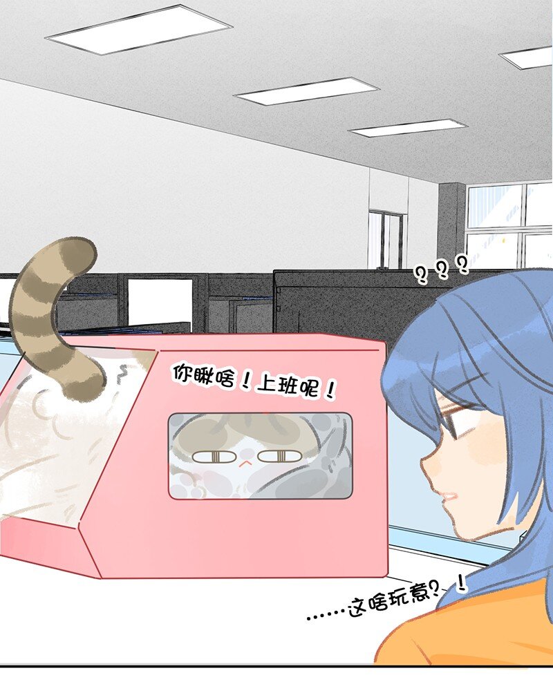 《喵铃铛》19 它好特别！我好喜欢！ 第19页