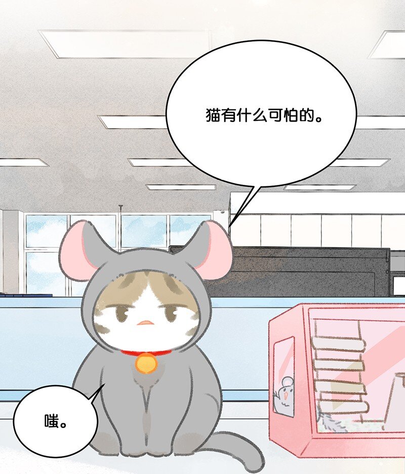 《喵铃铛》19 它好特别！我好喜欢！ 第8页