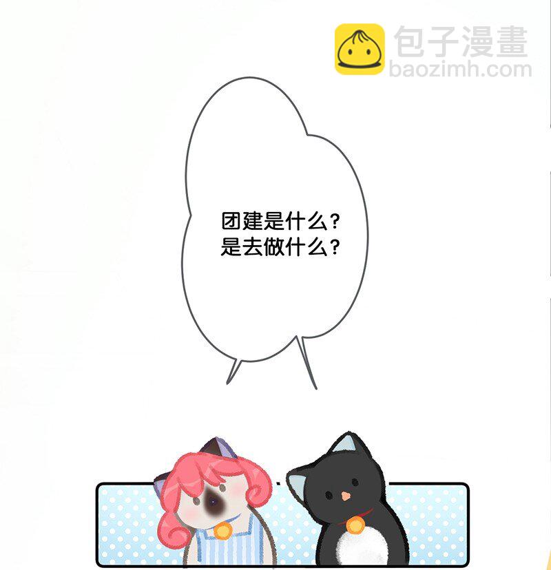 《喵铃铛》22 团建是密室逃脱和野外求生？ 第12页