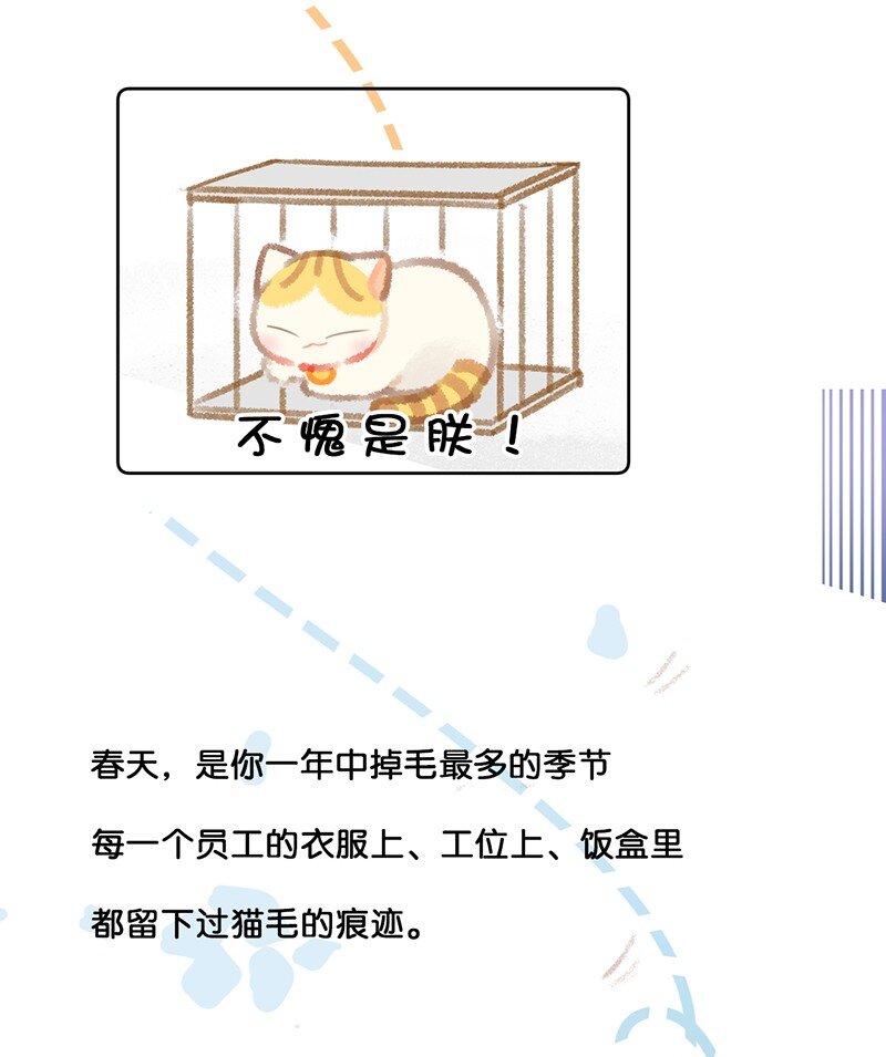 《喵铃铛》21 大橘的年终总结报告 第13页