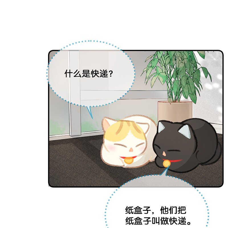 《喵铃铛》20 神秘的十一和十二月 第19页