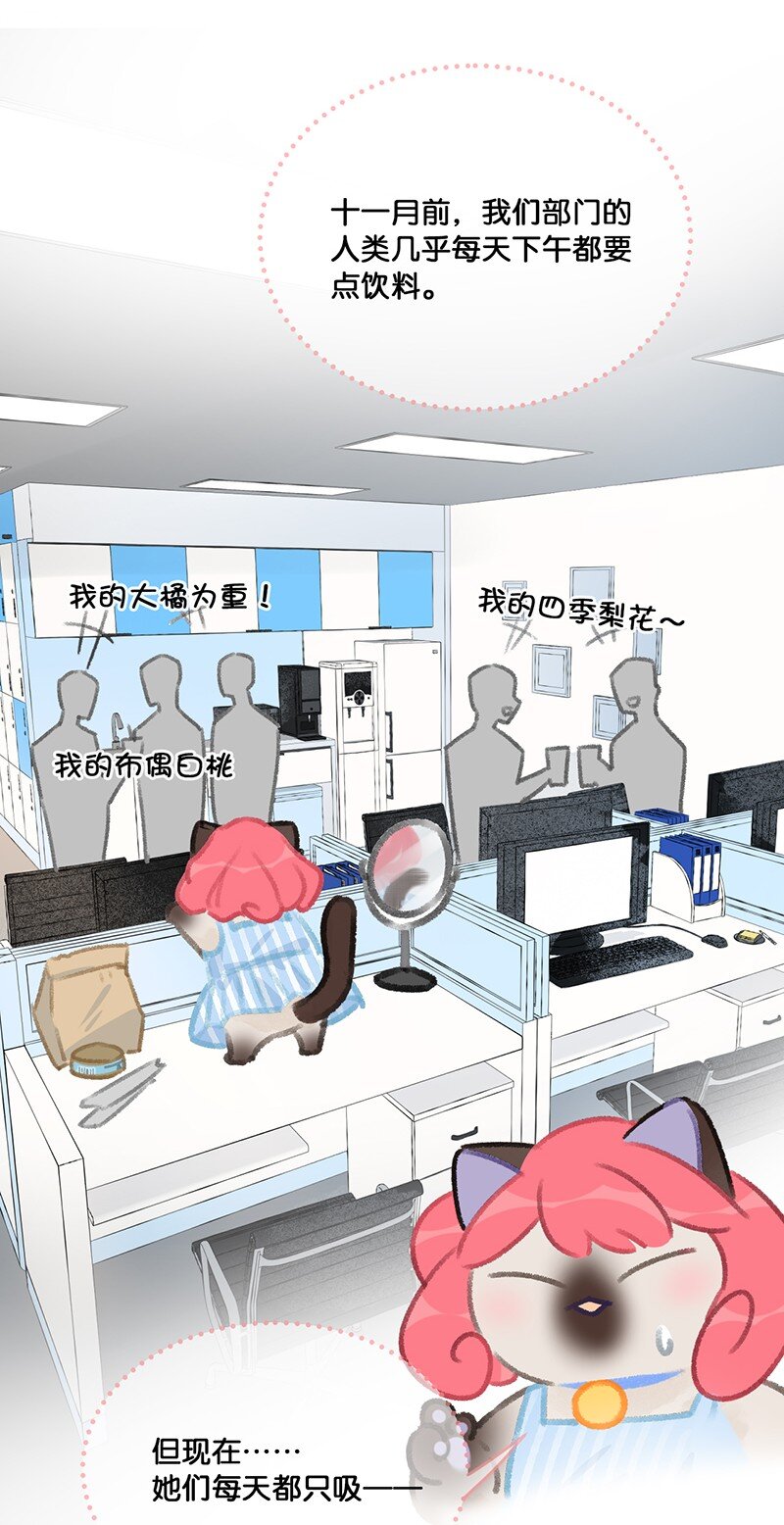 《喵铃铛》20 神秘的十一和十二月 第5页