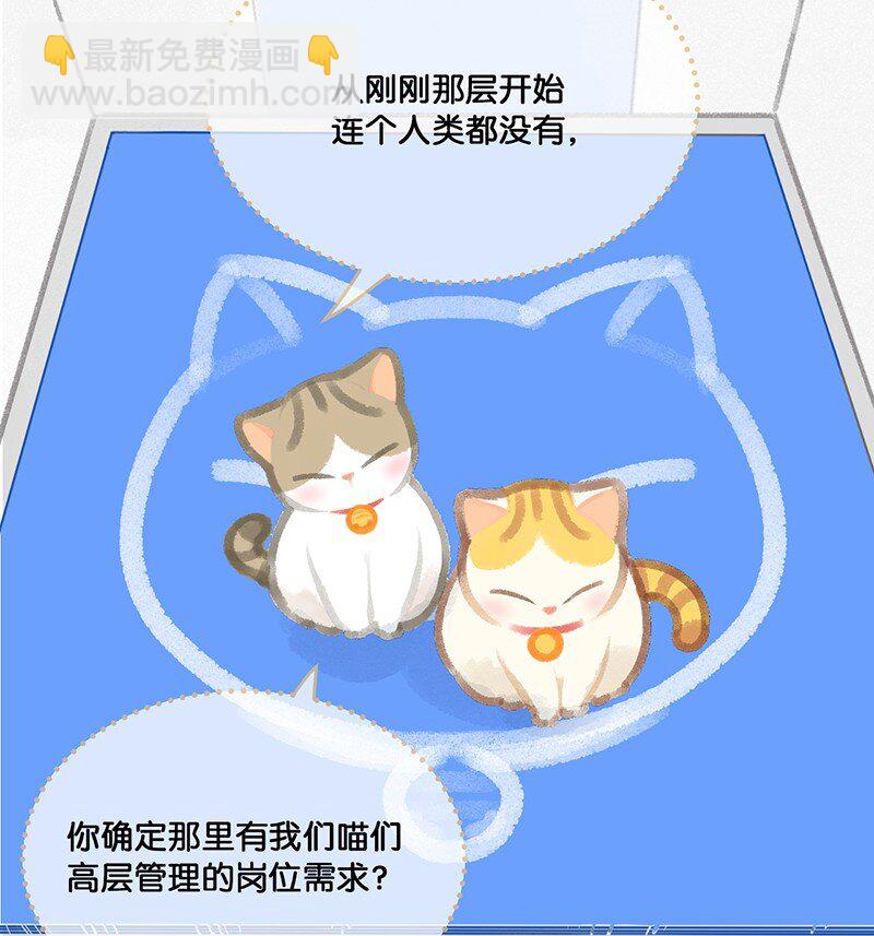 《喵铃铛》17 大橘和它双双失踪？！原因竟是…… 第14页