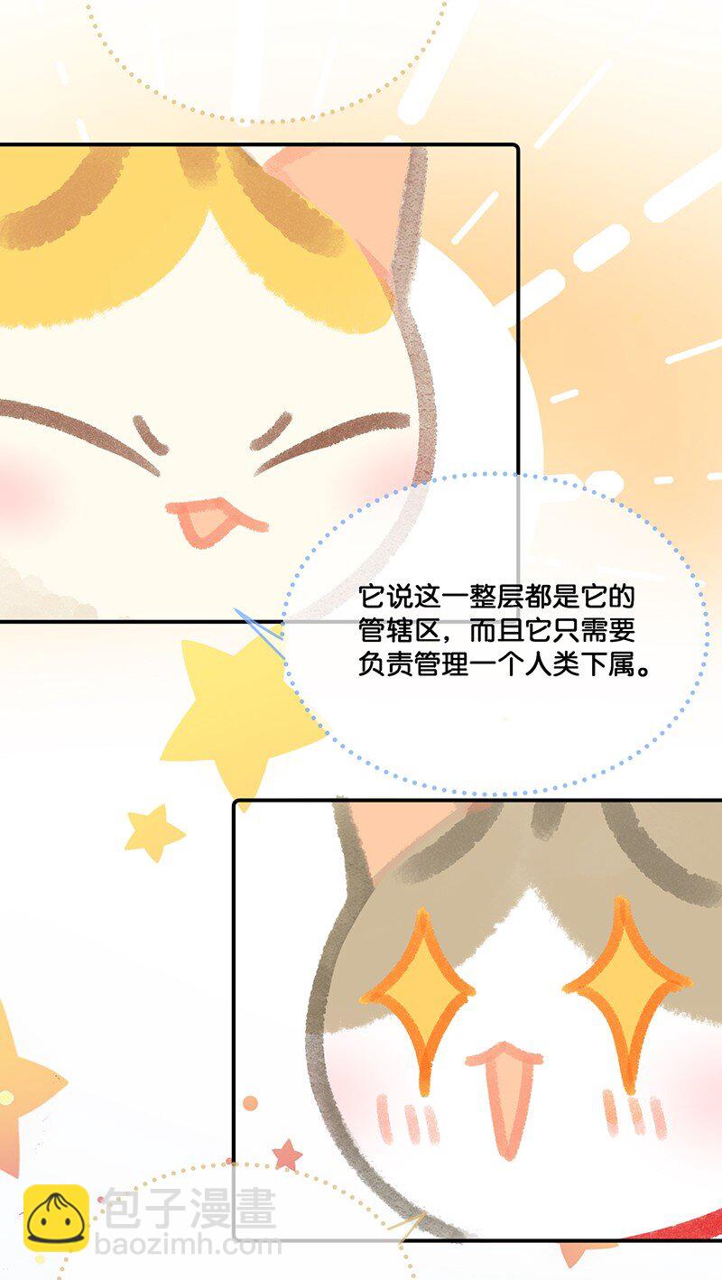 《喵铃铛》17 大橘和它双双失踪？！原因竟是…… 第16页