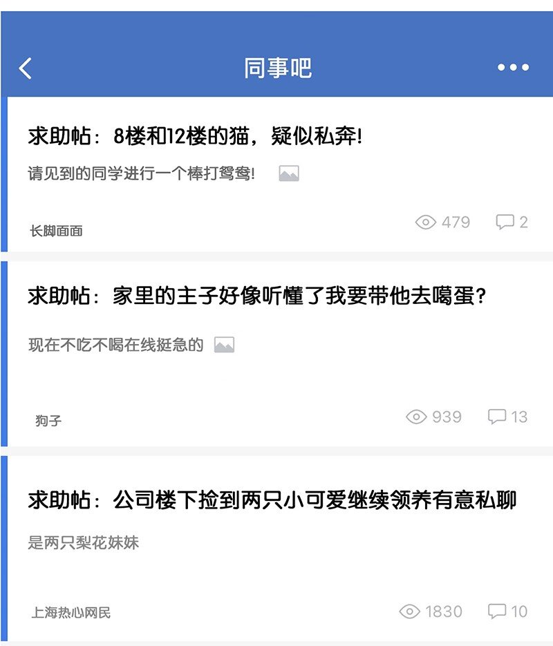 《喵铃铛》17 大橘和它双双失踪？！原因竟是…… 第9页