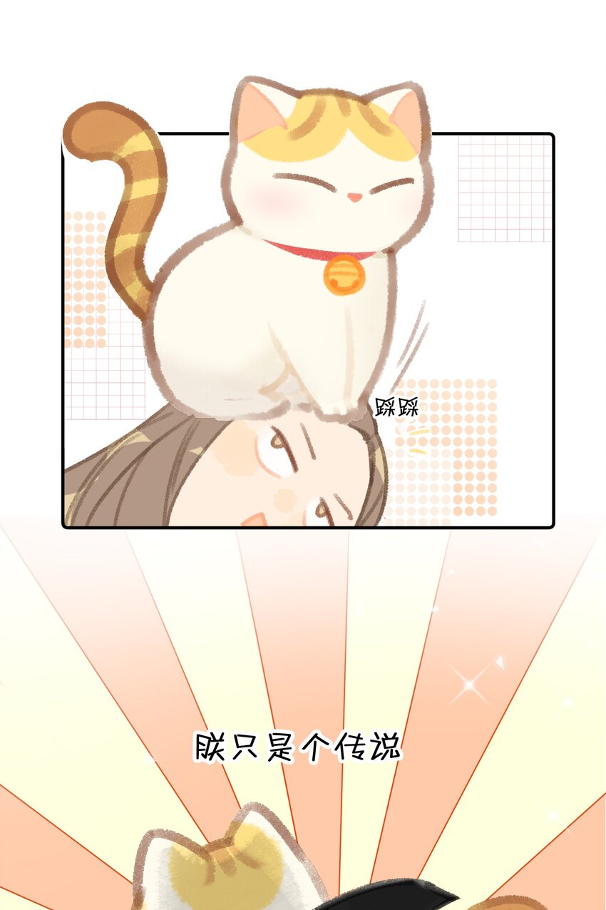 《喵铃铛》16 拯救员工的“高管”喵！ 第12页