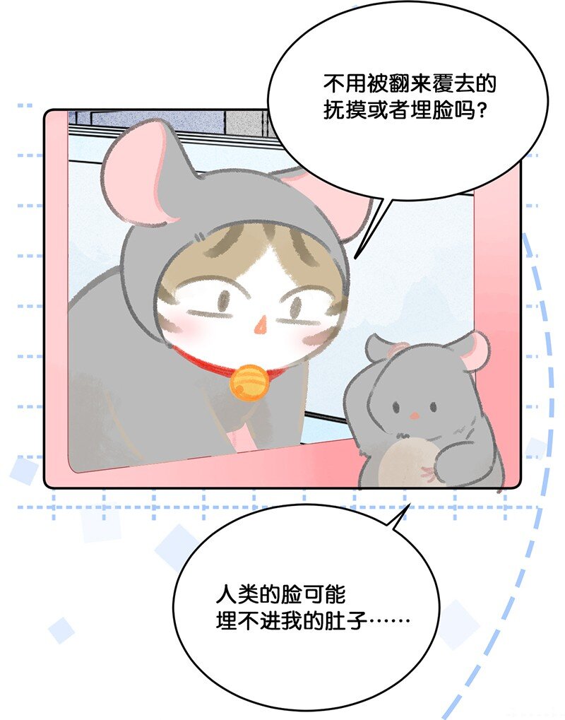 《喵铃铛》19 它好特别！我好喜欢！ 第11页