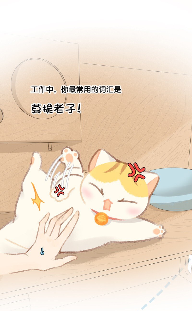《喵铃铛》21 大橘的年终总结报告 第10页