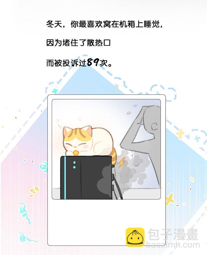 《喵铃铛》21 大橘的年终总结报告 第17页