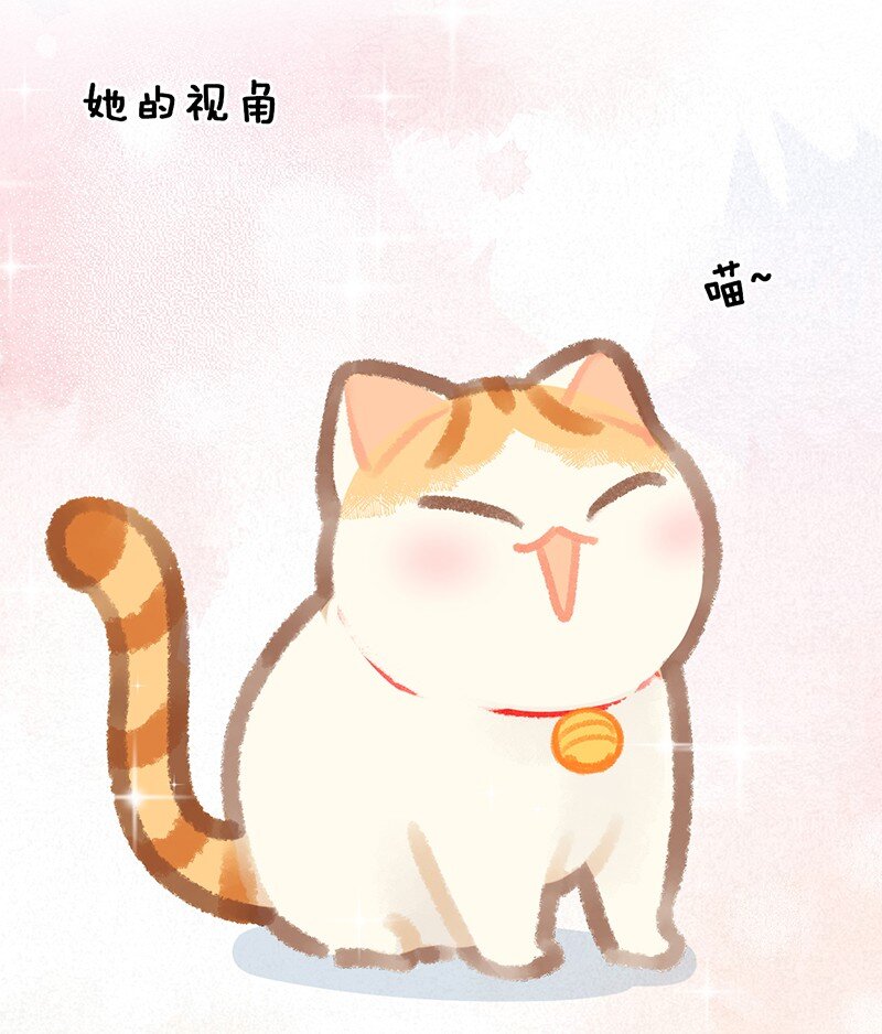 《喵铃铛》圣诞 圣诞特别篇——大橘的礼物！ 第20页