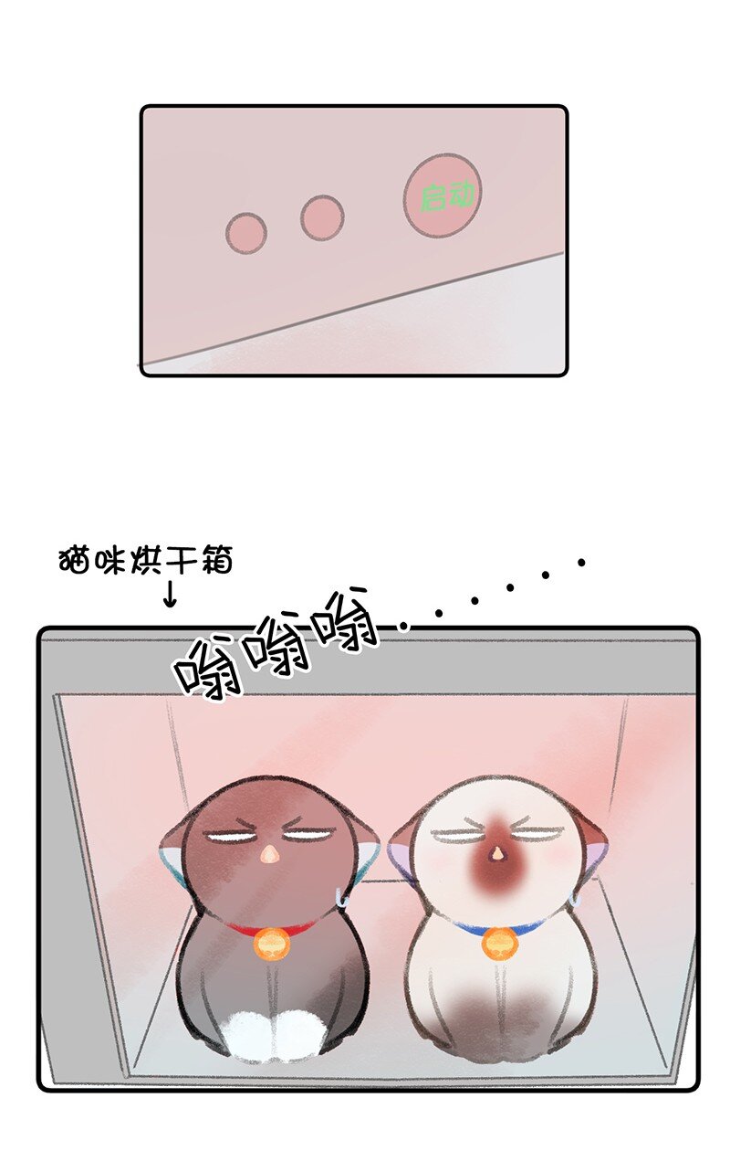 《喵铃铛》22 团建是密室逃脱和野外求生？ 第21页