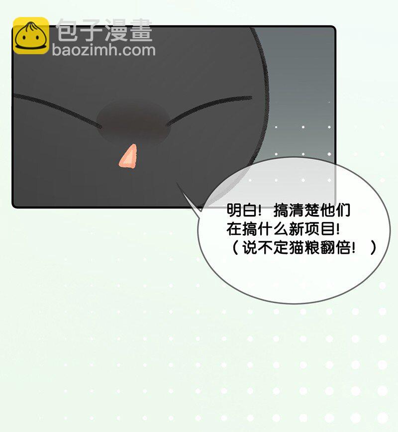 《喵铃铛》22 团建是密室逃脱和野外求生？ 第8页