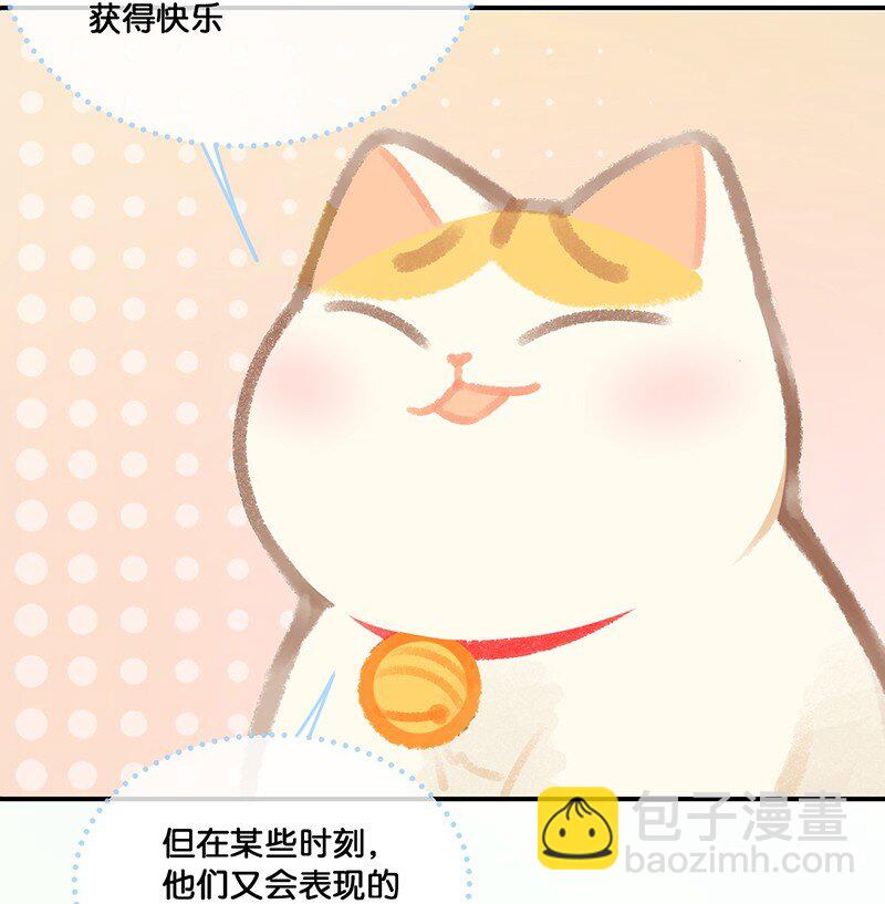 《喵铃铛》20 神秘的十一和十二月 第15页