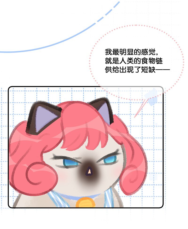 《喵铃铛》20 神秘的十一和十二月 第4页