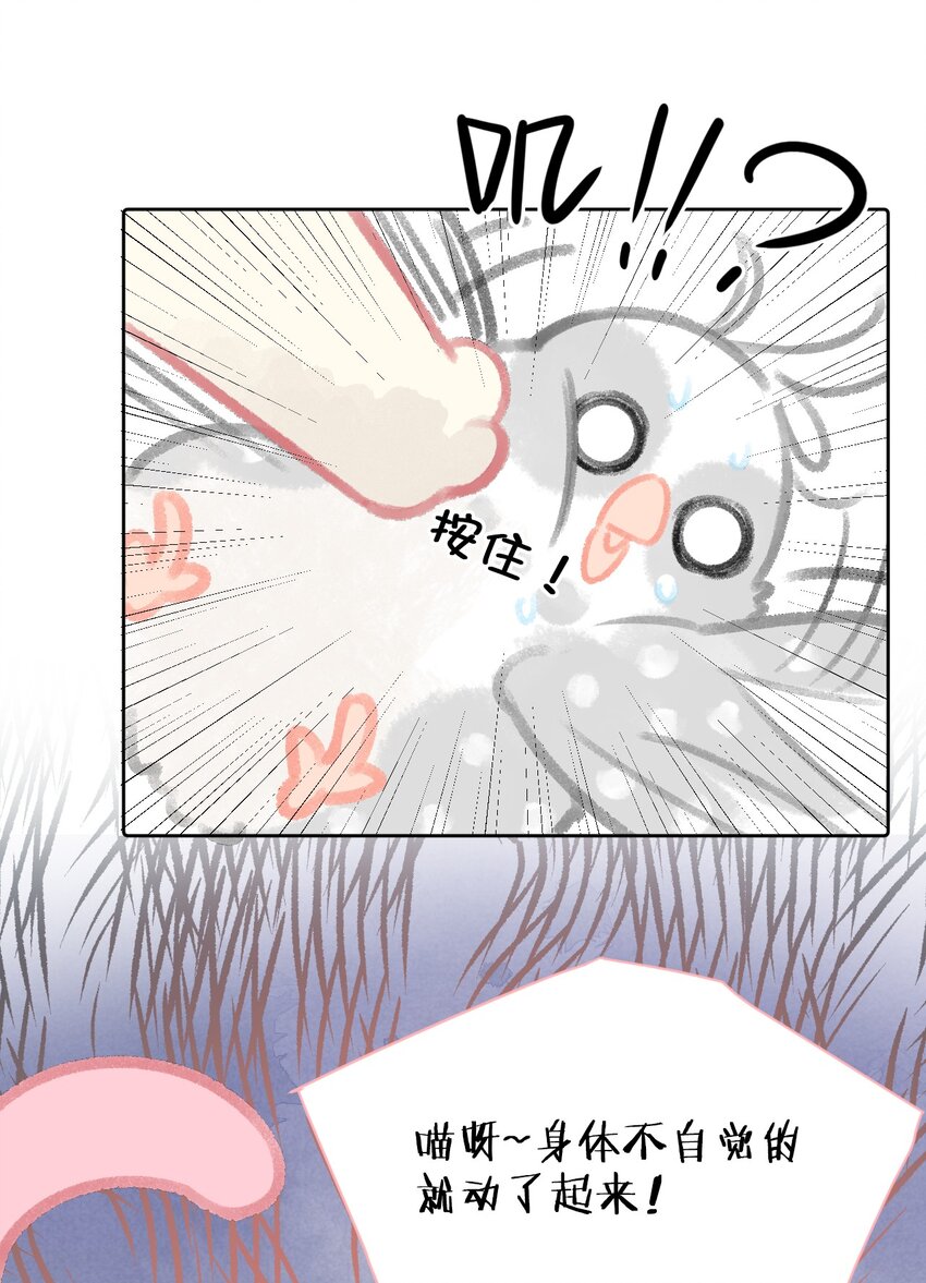 《喵铃铛》24 新员工在橘总头上拉屎？！ 第21页