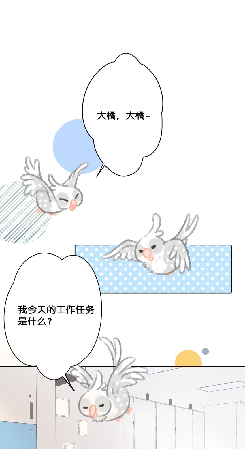 《喵铃铛》24 新员工在橘总头上拉屎？！ 第3页