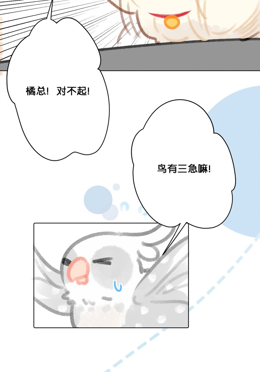 《喵铃铛》24 新员工在橘总头上拉屎？！ 第8页
