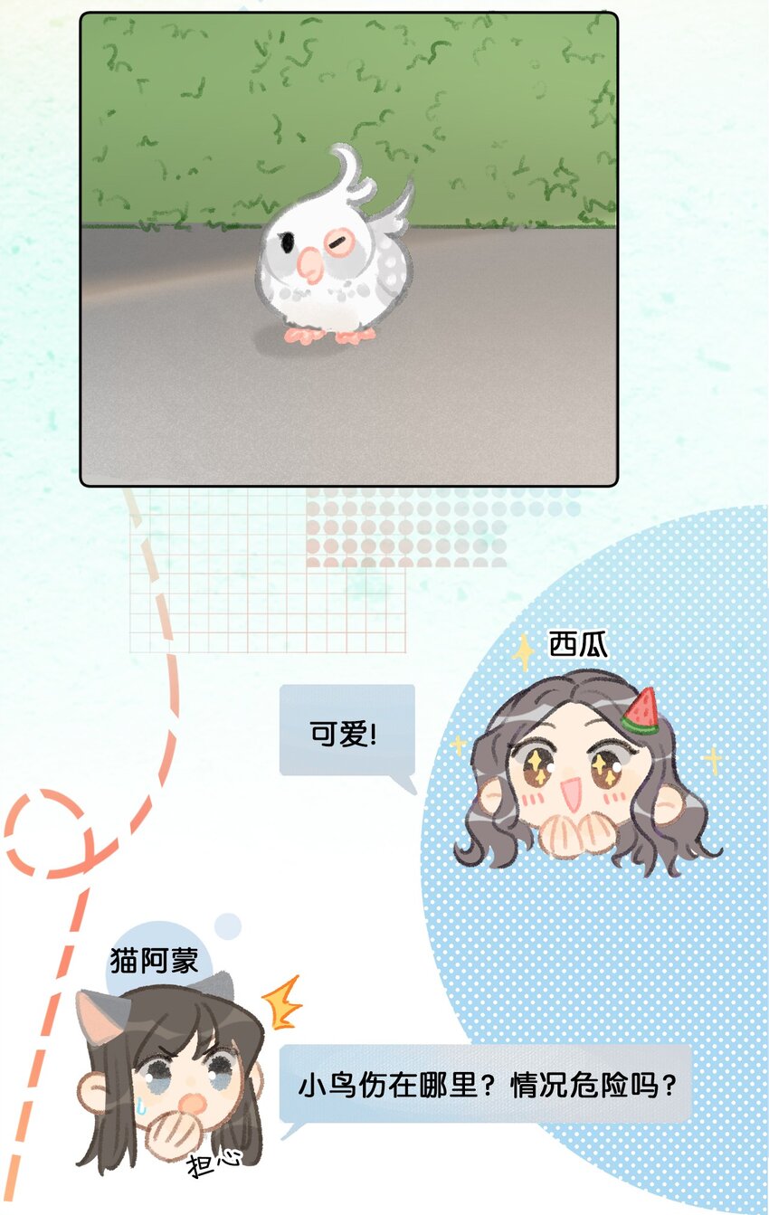 《喵铃铛》23 漫画部空降大佬？！ 第4页