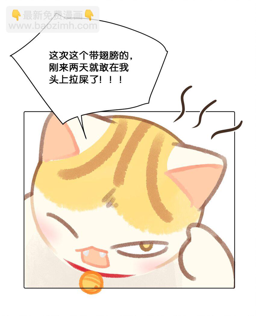 《喵铃铛》24 新员工在橘总头上拉屎？！ 第12页