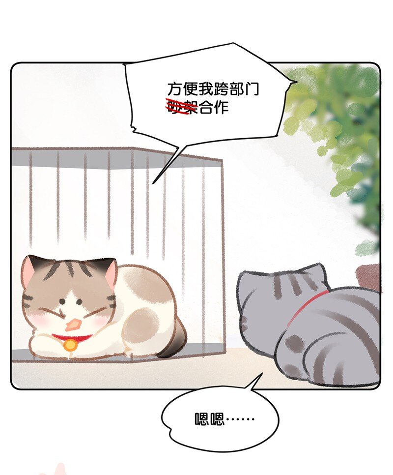 《喵铃铛》26 喵高管们的新年愿望？ 第11页