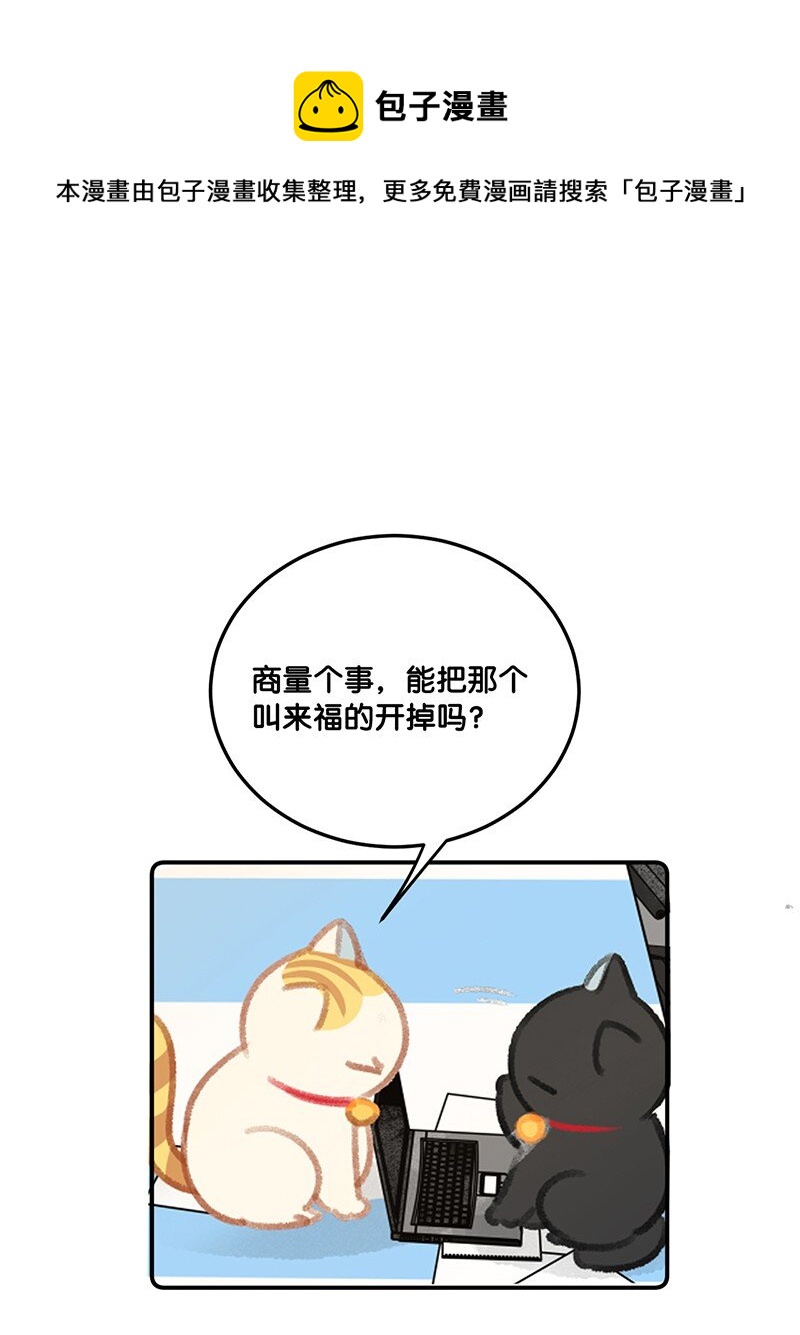 《喵铃铛》29 内卷之王王中王 第21页