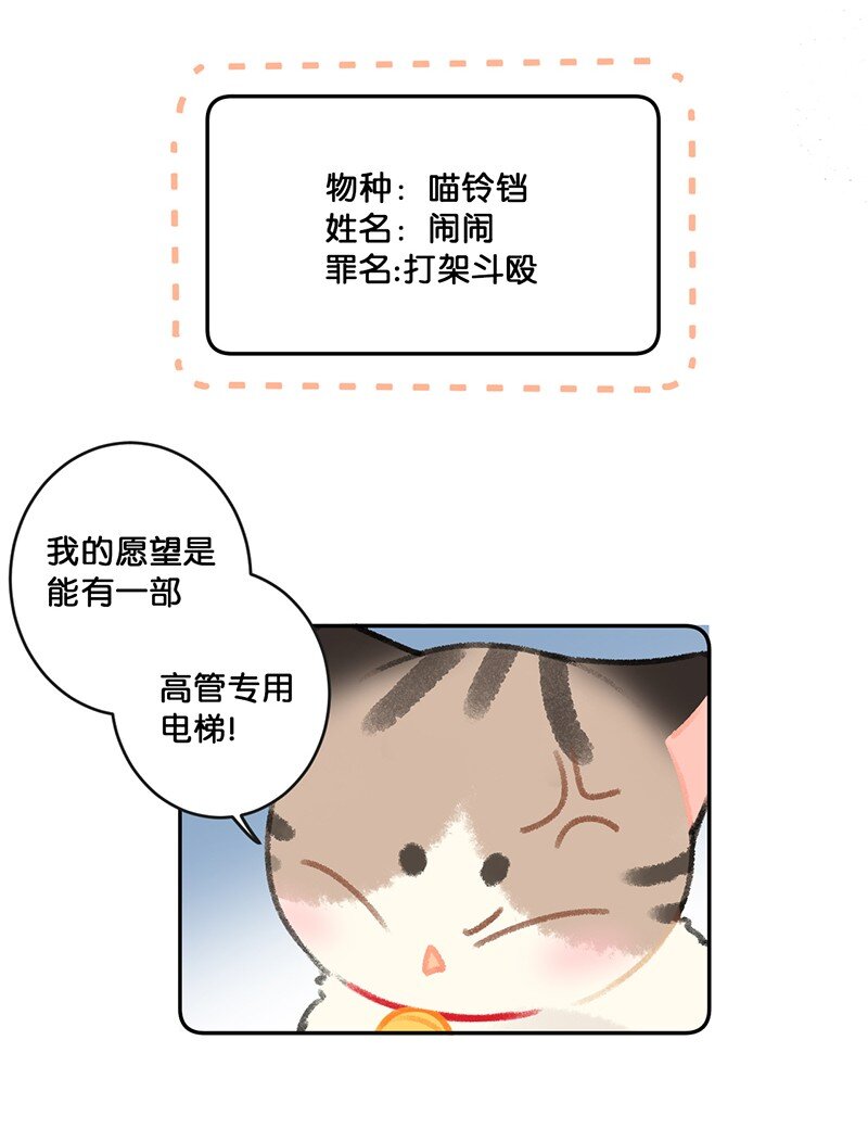 《喵铃铛》26 喵高管们的新年愿望？ 第10页