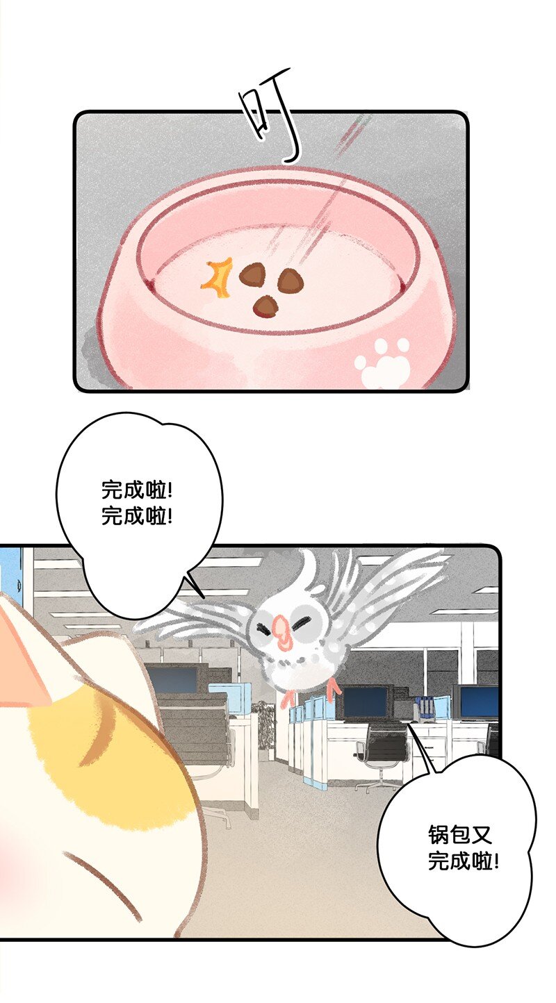 《喵铃铛》26 喵高管们的新年愿望？ 第20页