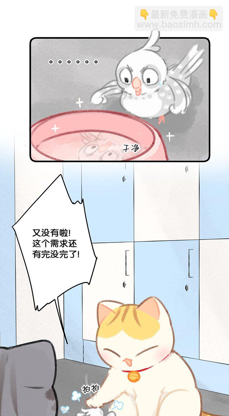 《喵铃铛》26 喵高管们的新年愿望？ 第22页