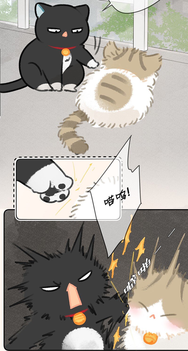 《喵铃铛》27 十万伏特喵！ 第5页